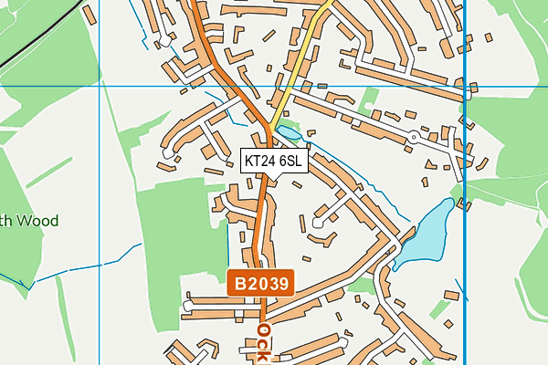 KT24 6SL map - OS VectorMap District (Ordnance Survey)