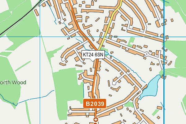 KT24 6SN map - OS VectorMap District (Ordnance Survey)