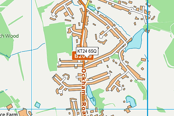 KT24 6SQ map - OS VectorMap District (Ordnance Survey)