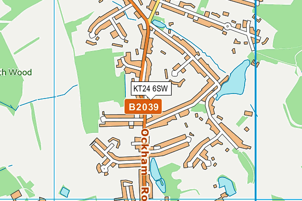 KT24 6SW map - OS VectorMap District (Ordnance Survey)