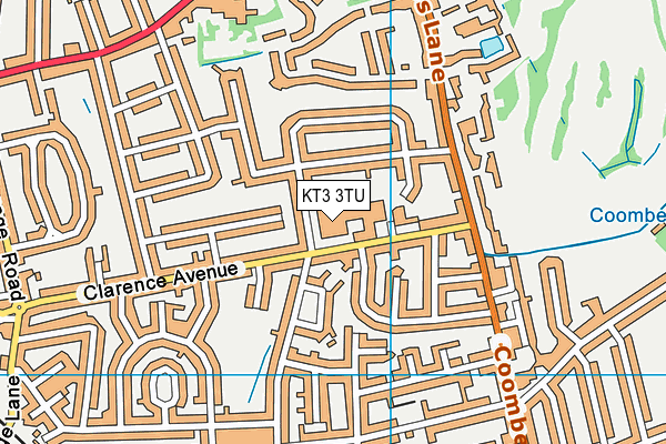Coombe Girls' School map (KT3 3TU) - OS VectorMap District (Ordnance Survey)