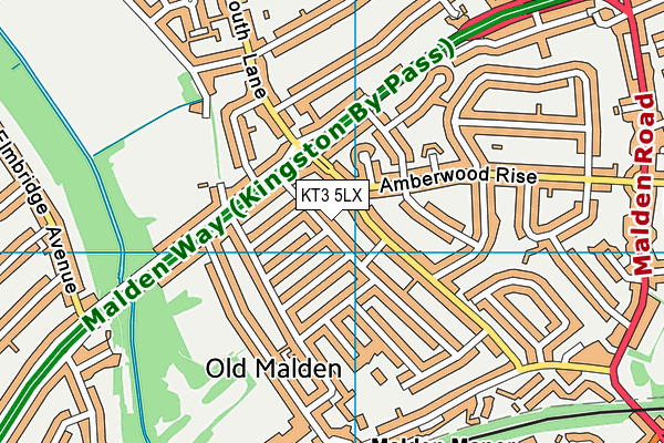 KT3 5LX map - OS VectorMap District (Ordnance Survey)
