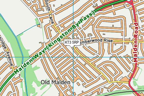 KT3 5RP map - OS VectorMap District (Ordnance Survey)