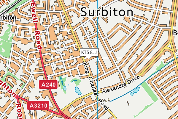 KT5 8JJ map - OS VectorMap District (Ordnance Survey)