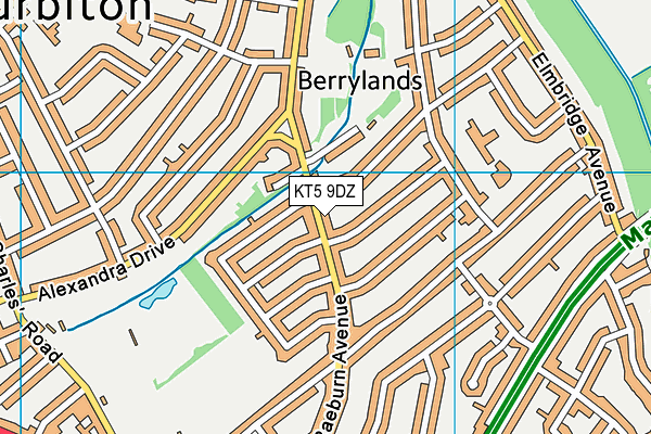 KT5 9DZ map - OS VectorMap District (Ordnance Survey)