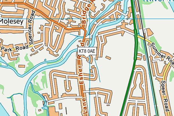 KT8 0AE map - OS VectorMap District (Ordnance Survey)
