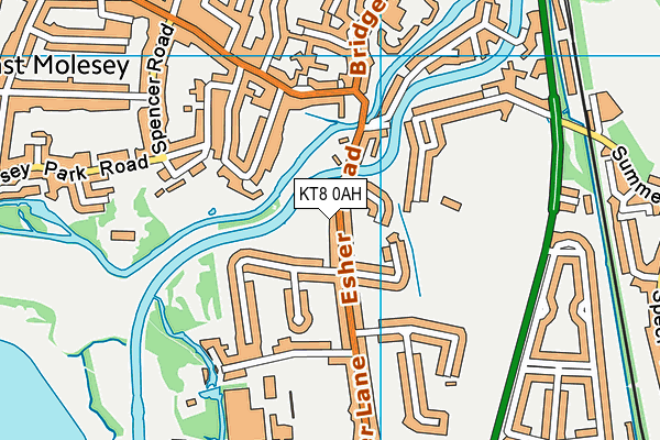 KT8 0AH map - OS VectorMap District (Ordnance Survey)