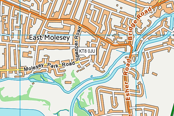 KT8 0JU map - OS VectorMap District (Ordnance Survey)