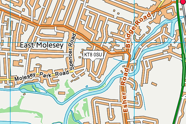 KT8 0SU map - OS VectorMap District (Ordnance Survey)