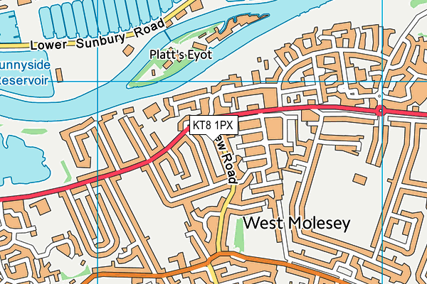 KT8 1PX map - OS VectorMap District (Ordnance Survey)