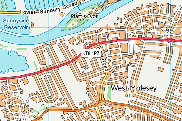 KT8 1PZ map - OS VectorMap District (Ordnance Survey)