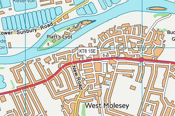 KT8 1SE map - OS VectorMap District (Ordnance Survey)