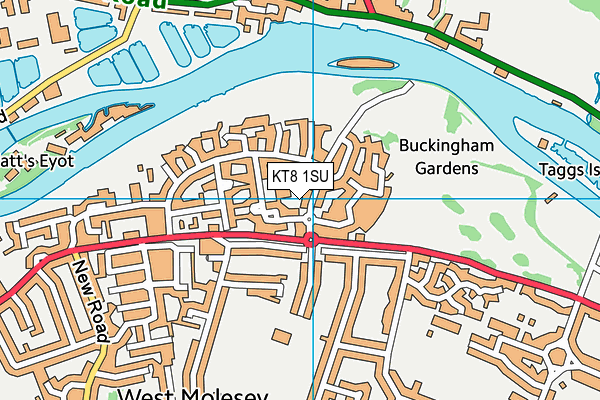KT8 1SU map - OS VectorMap District (Ordnance Survey)