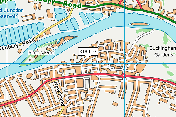 KT8 1TG map - OS VectorMap District (Ordnance Survey)