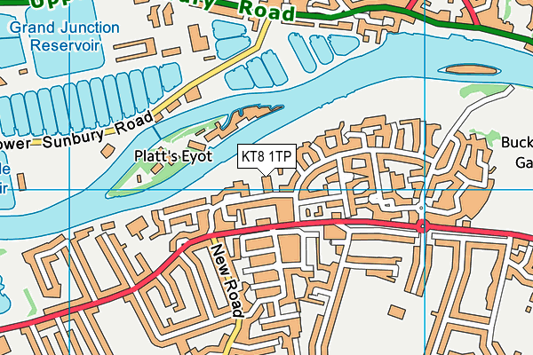 KT8 1TP map - OS VectorMap District (Ordnance Survey)