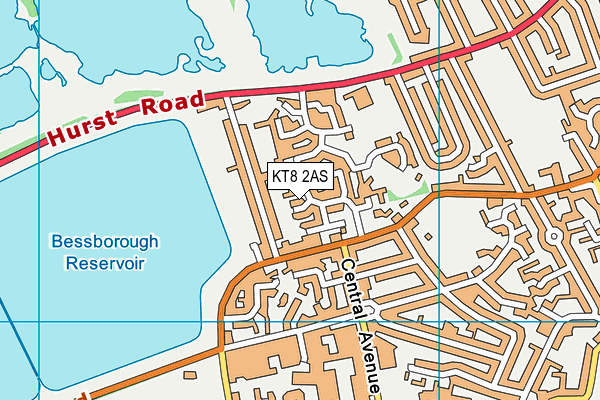 Molesey Centre map (KT8 2AS) - OS VectorMap District (Ordnance Survey)