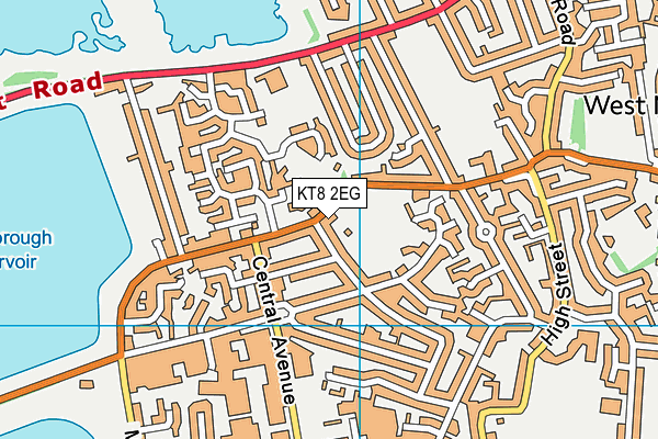 KT8 2EG map - OS VectorMap District (Ordnance Survey)