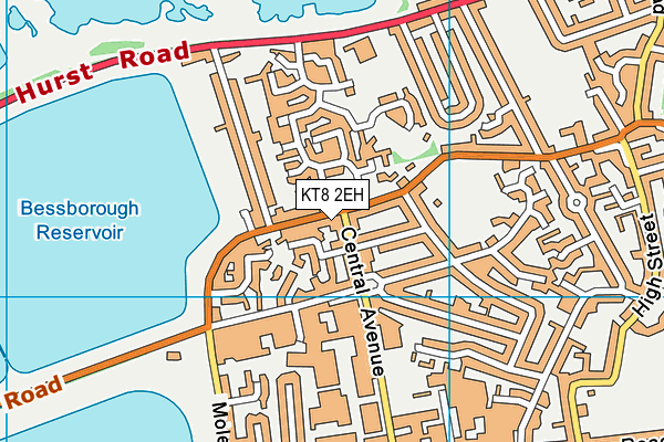 KT8 2EH map - OS VectorMap District (Ordnance Survey)