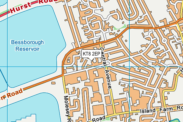 KT8 2EP map - OS VectorMap District (Ordnance Survey)