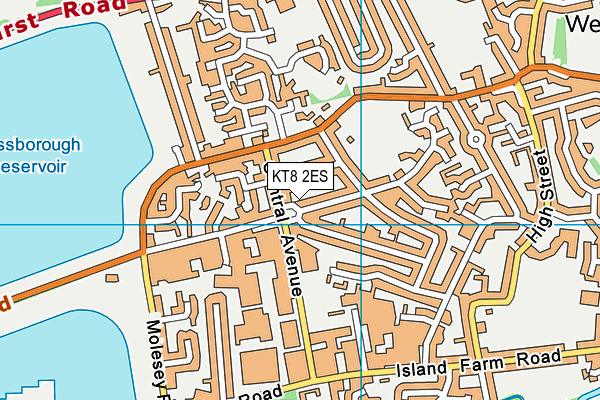 KT8 2ES map - OS VectorMap District (Ordnance Survey)