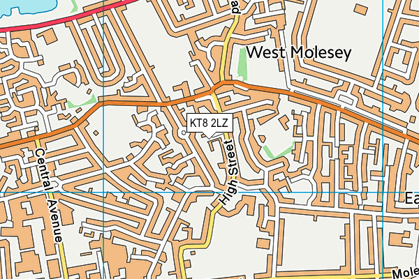 KT8 2LZ map - OS VectorMap District (Ordnance Survey)