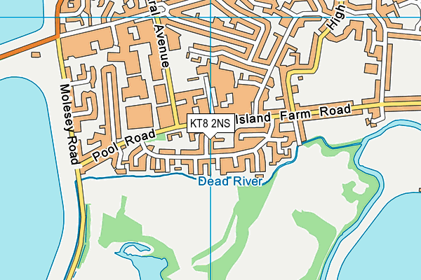 KT8 2NS map - OS VectorMap District (Ordnance Survey)