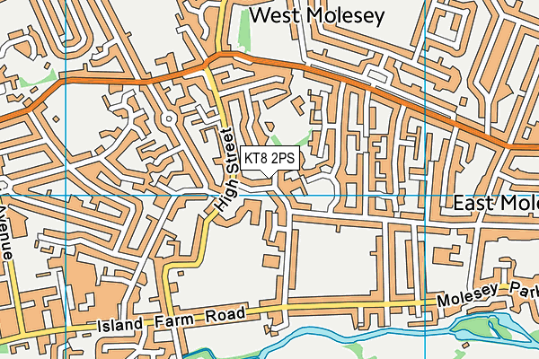 KT8 2PS map - OS VectorMap District (Ordnance Survey)