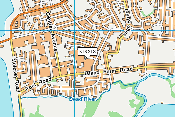 KT8 2TS map - OS VectorMap District (Ordnance Survey)