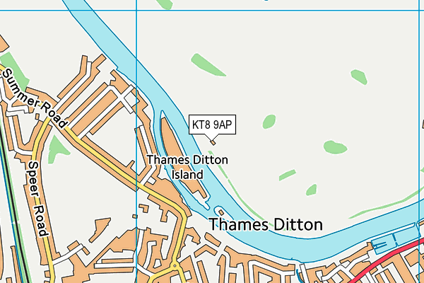 KT8 9AP map - OS VectorMap District (Ordnance Survey)