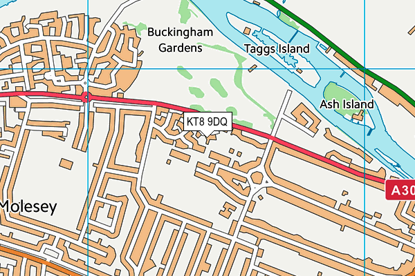 KT8 9DQ map - OS VectorMap District (Ordnance Survey)