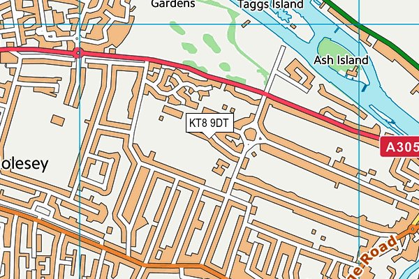 KT8 9DT map - OS VectorMap District (Ordnance Survey)