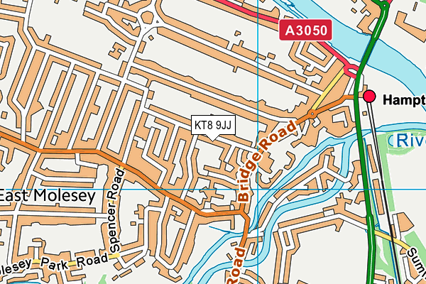 KT8 9JJ map - OS VectorMap District (Ordnance Survey)