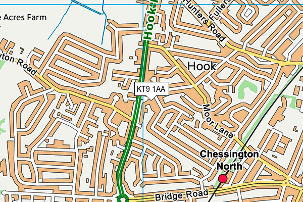 KT9 1AA map - OS VectorMap District (Ordnance Survey)