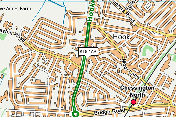 KT9 1AB map - OS VectorMap District (Ordnance Survey)