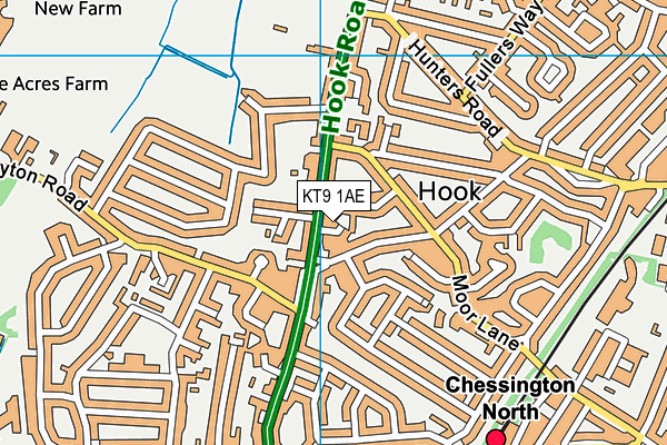 KT9 1AE map - OS VectorMap District (Ordnance Survey)