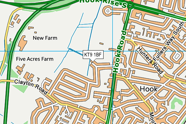 Hollyfield School (Hook Playing Field) map (KT9 1BF) - OS VectorMap District (Ordnance Survey)