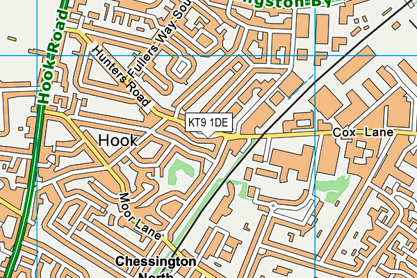 KT9 1DE map - OS VectorMap District (Ordnance Survey)