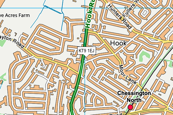 KT9 1EJ map - OS VectorMap District (Ordnance Survey)