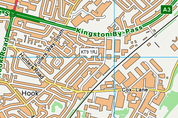 KT9 1RJ map - OS VectorMap District (Ordnance Survey)