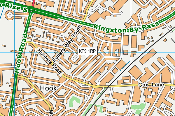 KT9 1RP map - OS VectorMap District (Ordnance Survey)