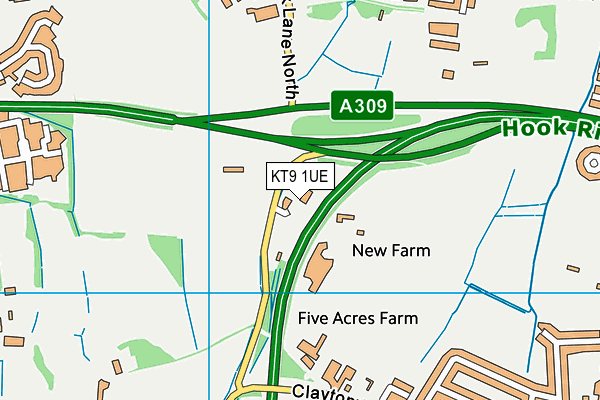 KT9 1UE map - OS VectorMap District (Ordnance Survey)