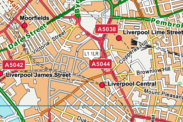 L1 1LR map - OS VectorMap District (Ordnance Survey)