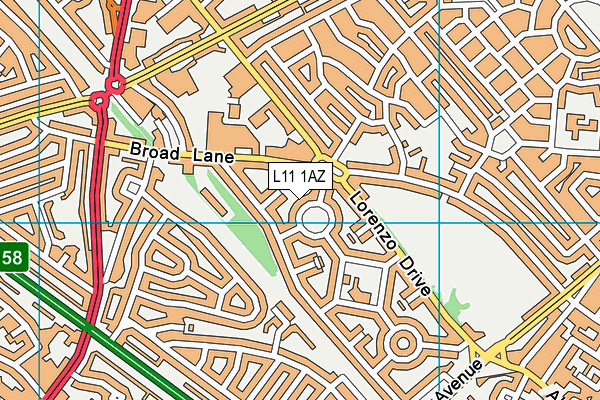 L11 1AZ map - OS VectorMap District (Ordnance Survey)