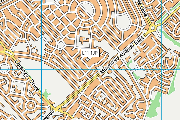 L11 1JP map - OS VectorMap District (Ordnance Survey)