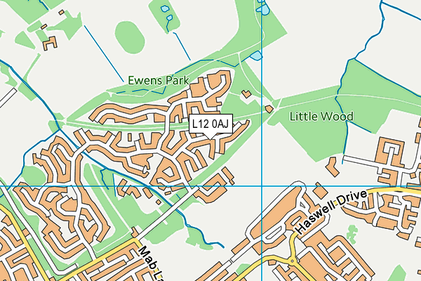 L12 0AJ map - OS VectorMap District (Ordnance Survey)