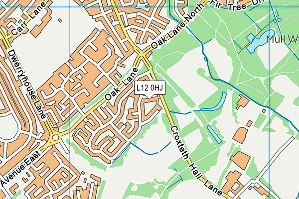 L12 0HJ map - OS VectorMap District (Ordnance Survey)