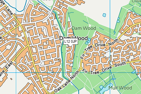 L12 0JP map - OS VectorMap District (Ordnance Survey)