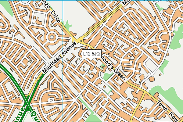 L12 5JQ map - OS VectorMap District (Ordnance Survey)