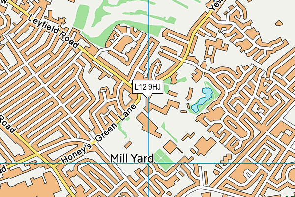 Broughton Hall Catholic High School map (L12 9HJ) - OS VectorMap District (Ordnance Survey)