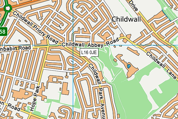 L16 0JE map - OS VectorMap District (Ordnance Survey)